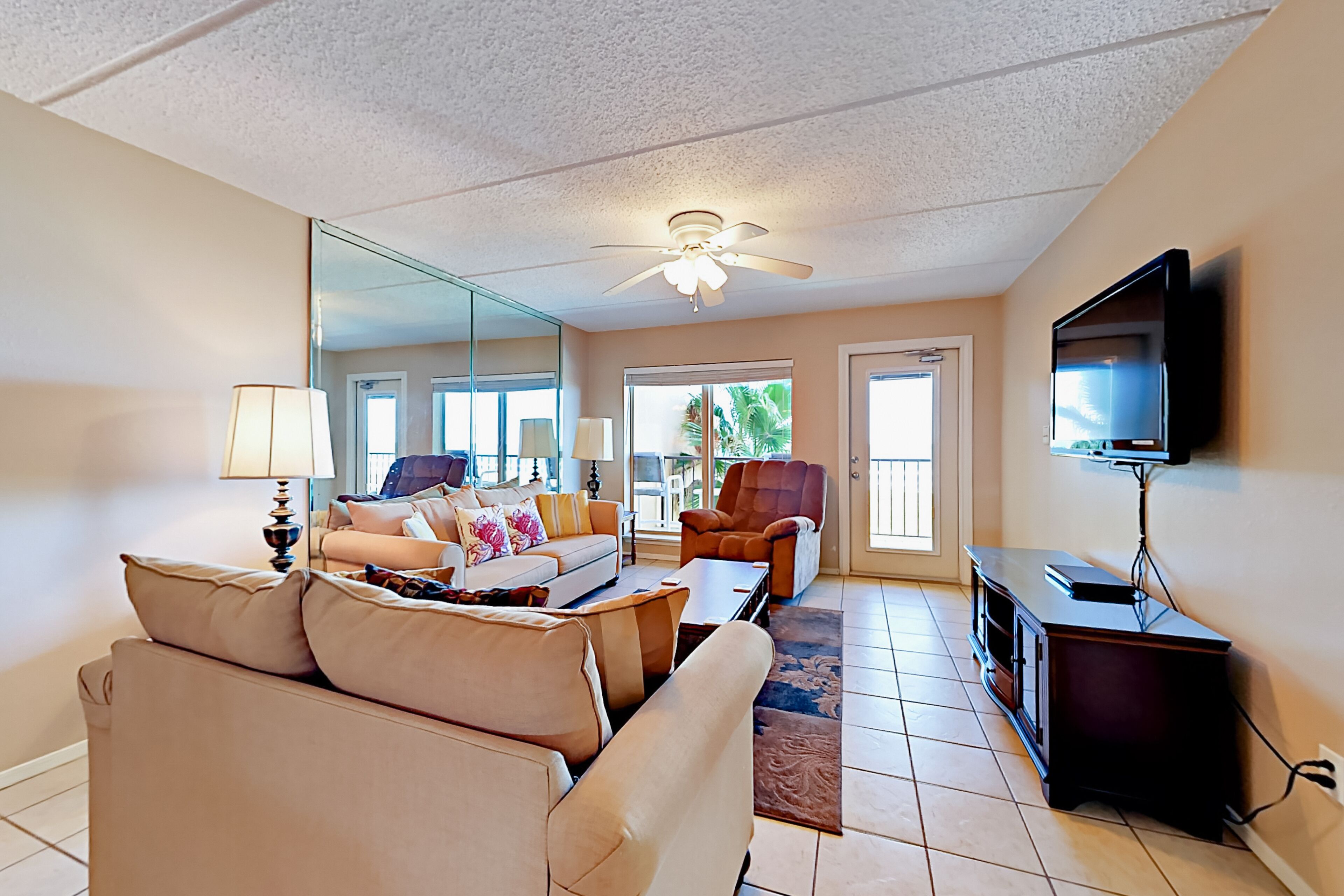 电视、DVD 播放器