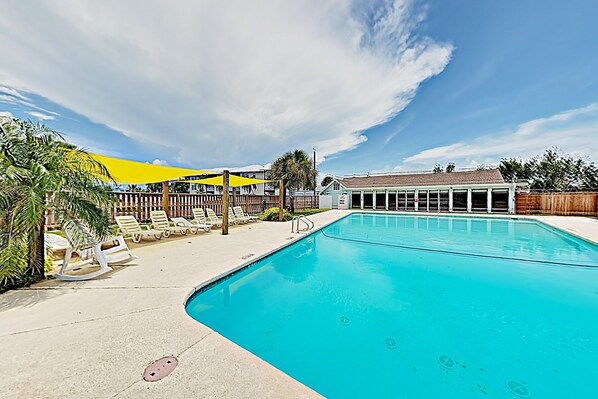 Relax by the pool surrounded by palm trees and lounge chairs.