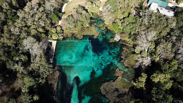 Vue aérienne d’une propriété comprenant un grand plan d’eau rectangulaire, entouré d’une forêt dense.