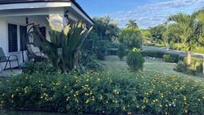 A house with a covered porch, a swing chair, and a garden with yellow flowers. - Sweet Oasis - gated with 24/hr security/ swimming pool/ free access to beach  (Saint Ann's Bay)