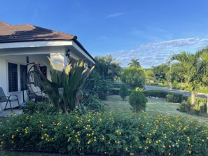 Property grounds - Sweet Oasis - gated with 24/hr security/ swimming pool/ free access to beach  (Saint Ann's Bay)