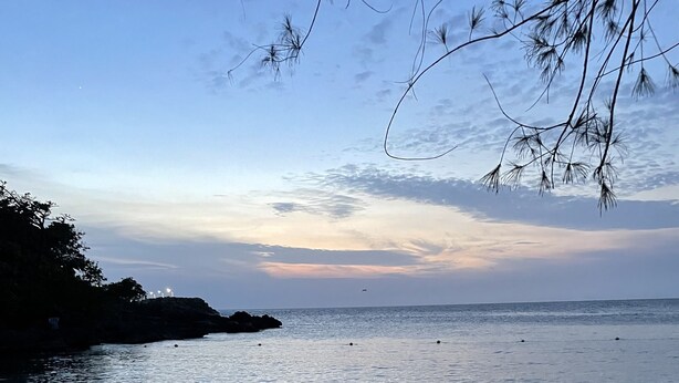 A beach with calm water, a clear sky, and some vegetation in the foreground. - Sweet Oasis - gated with 24/hr security/ swimming pool/ free access to beach  (Saint Ann's Bay)