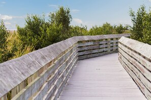 Property grounds - Snowbird-friendly Gulf getaway with pool & spa - steps to the sand & waterpark (South Padre Island)