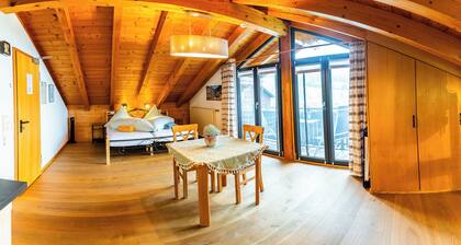 Ferienwohnung Nr. 2, 33m², Wohn-/schlafraum, Balkon, TV, 2 Pers