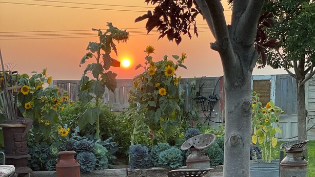A garden with various plants, a stone pathway, and a rustic metal structure. - The Chick Inn<br>Bed Breakfast and Dinner!!! (Eagle Mountain)