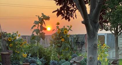 The Chick Inn<br>Bed Breakfast and Dinner!!!