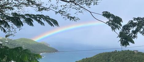 Vista desde la propiedad