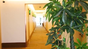 A hotel corridor with a carpeted floor and a potted plant on the right.