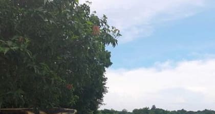 Monty's Riverside View Resort by Cocotel