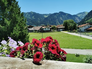 A wooden fence with red and purple flowers in the foreground, a green lawn, and houses with red roofs in the background.