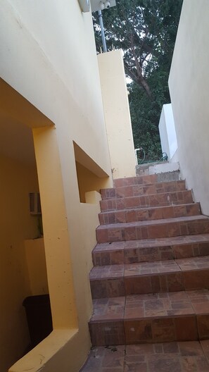 Property grounds - Studio (Vieques)