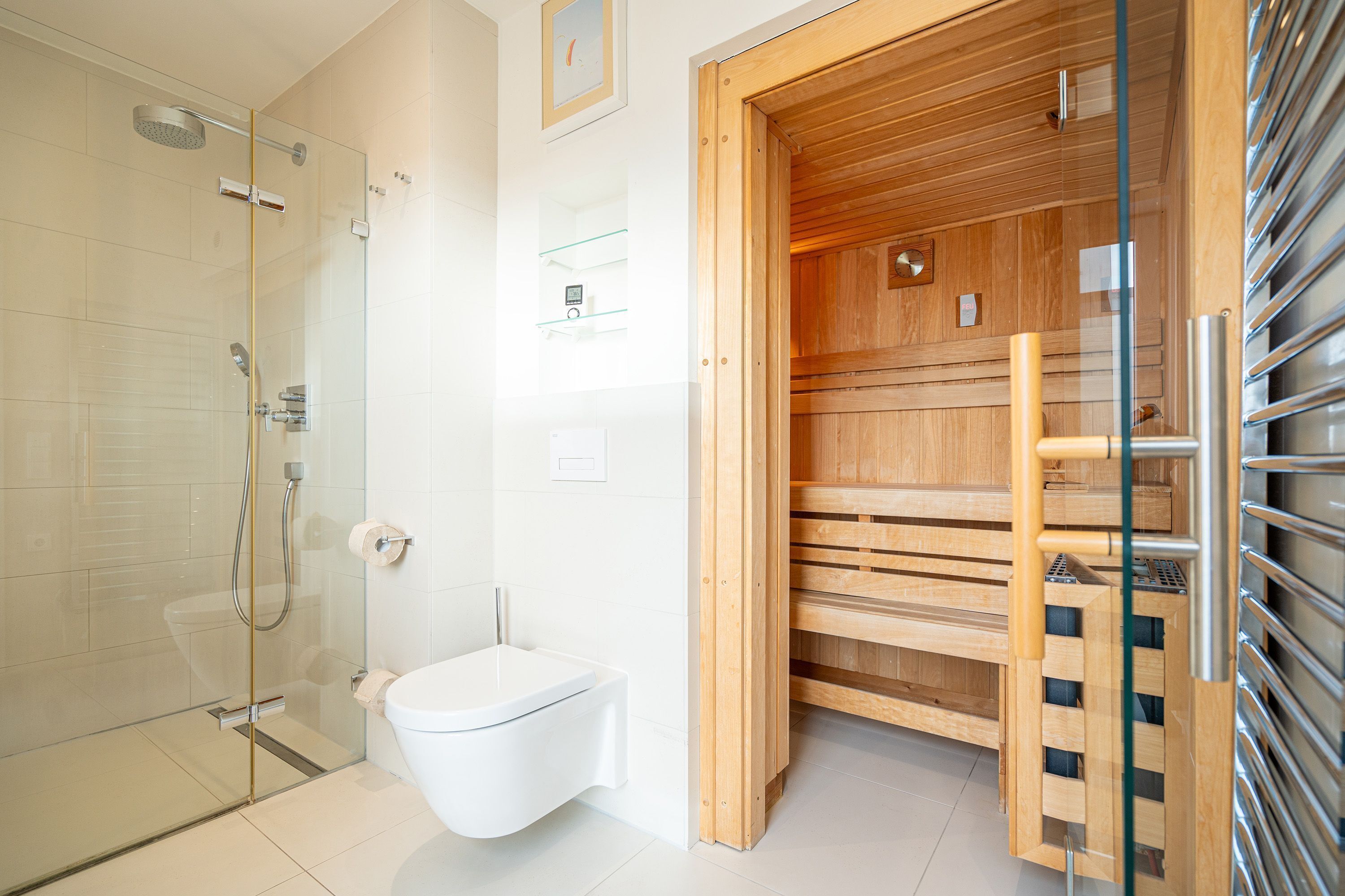 Shower, hair dryer, towels