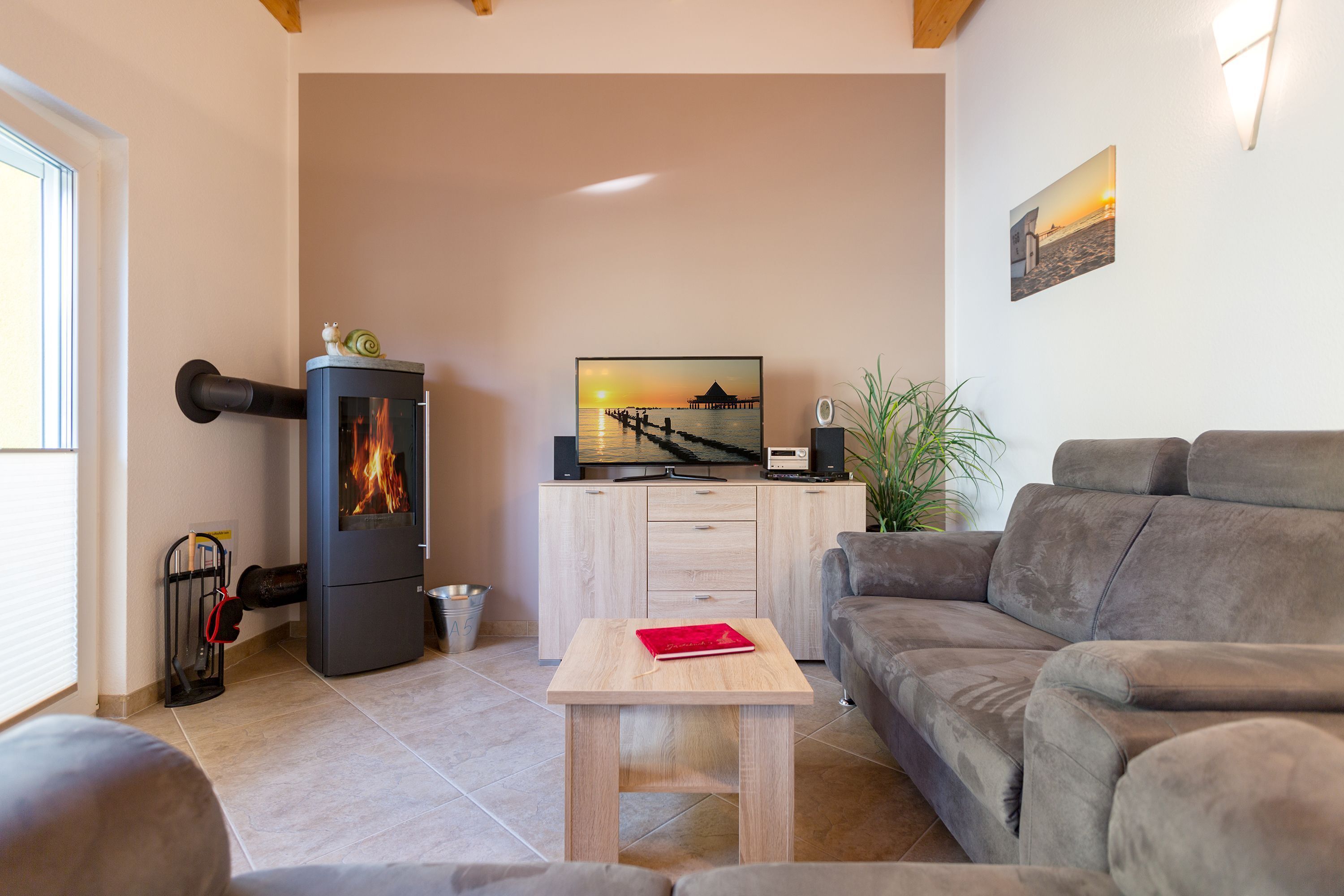 TV, fireplace