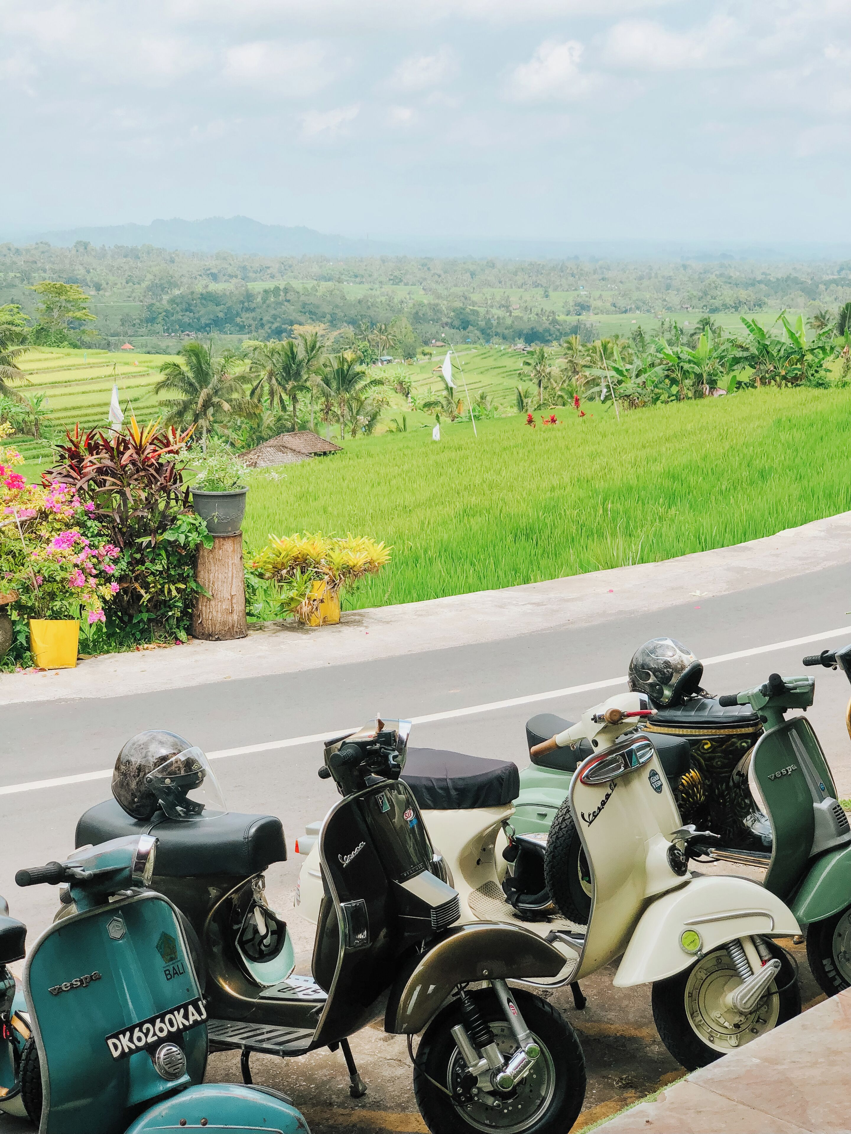 A row of vintage Vespa scooters parked on a roadside with a scenic view of green fields and mountains in the background.
