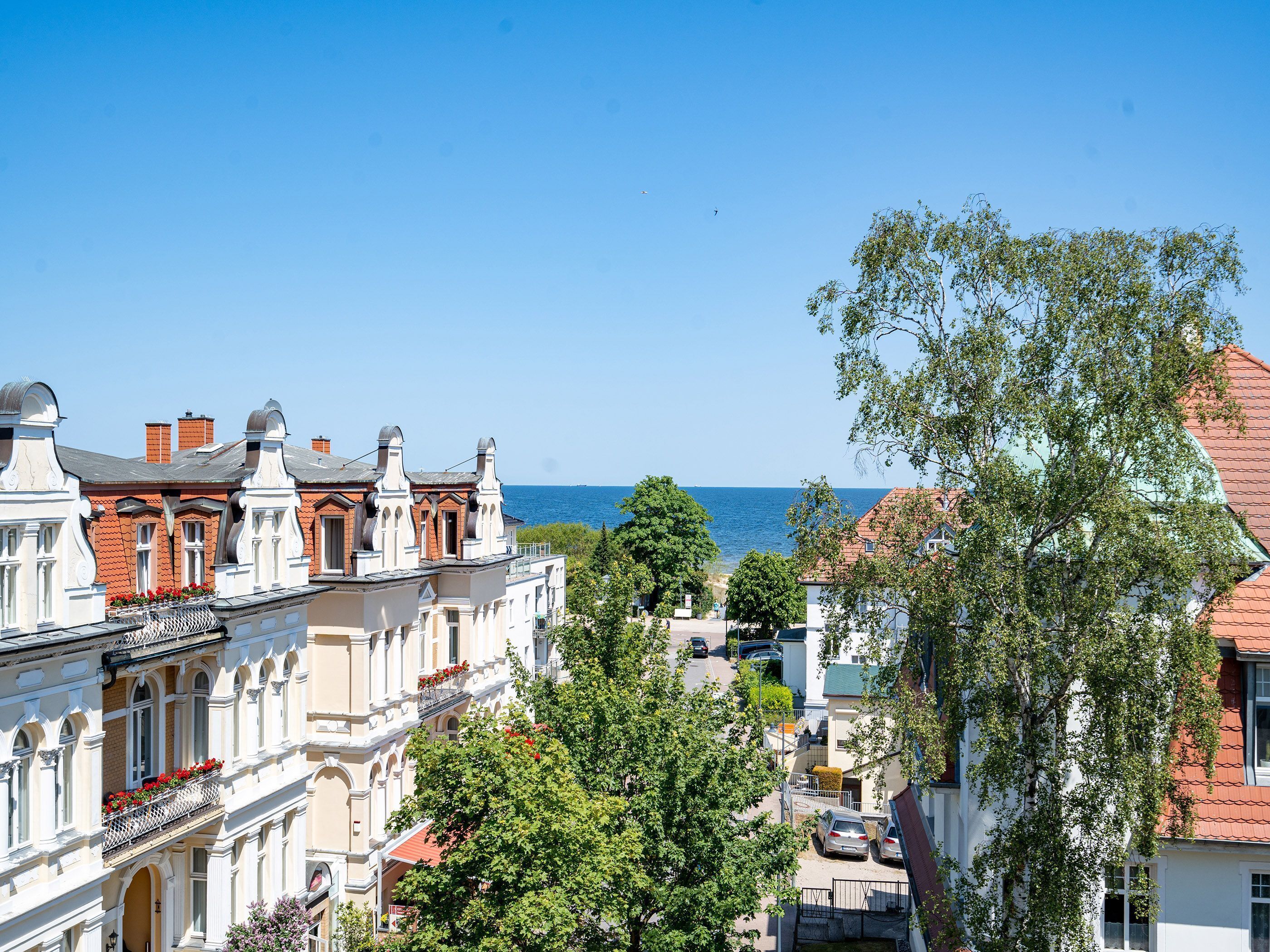 Ett bostadsområde vid kusten med historiska byggnader, utsikt över havet och ett stort träd i förgrunden.
