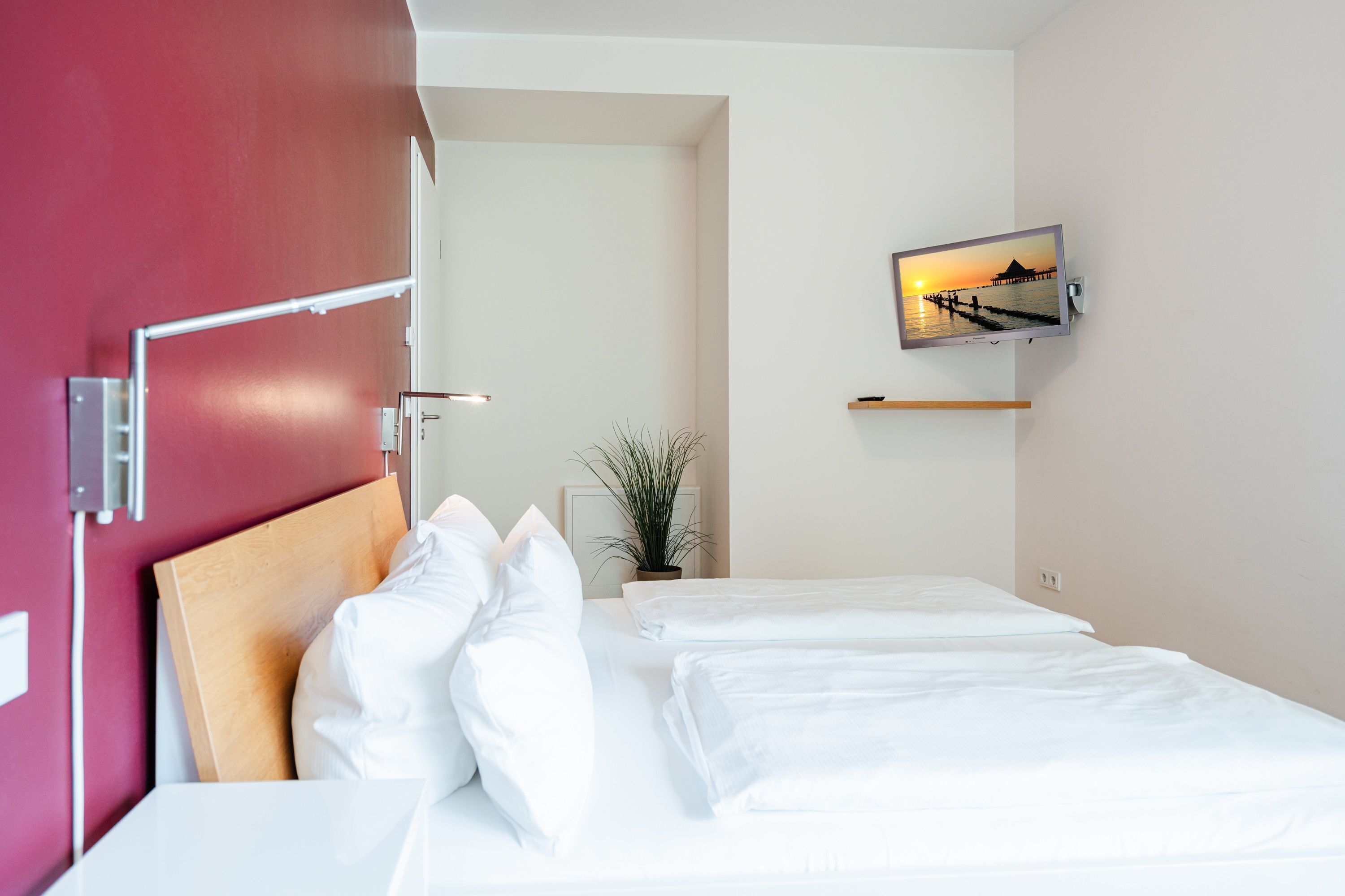 Ein Hotelzimmer mit einem Bett, einem an der Wand befestigten Fernseher, einer Topfpflanze und einer roten Wand.