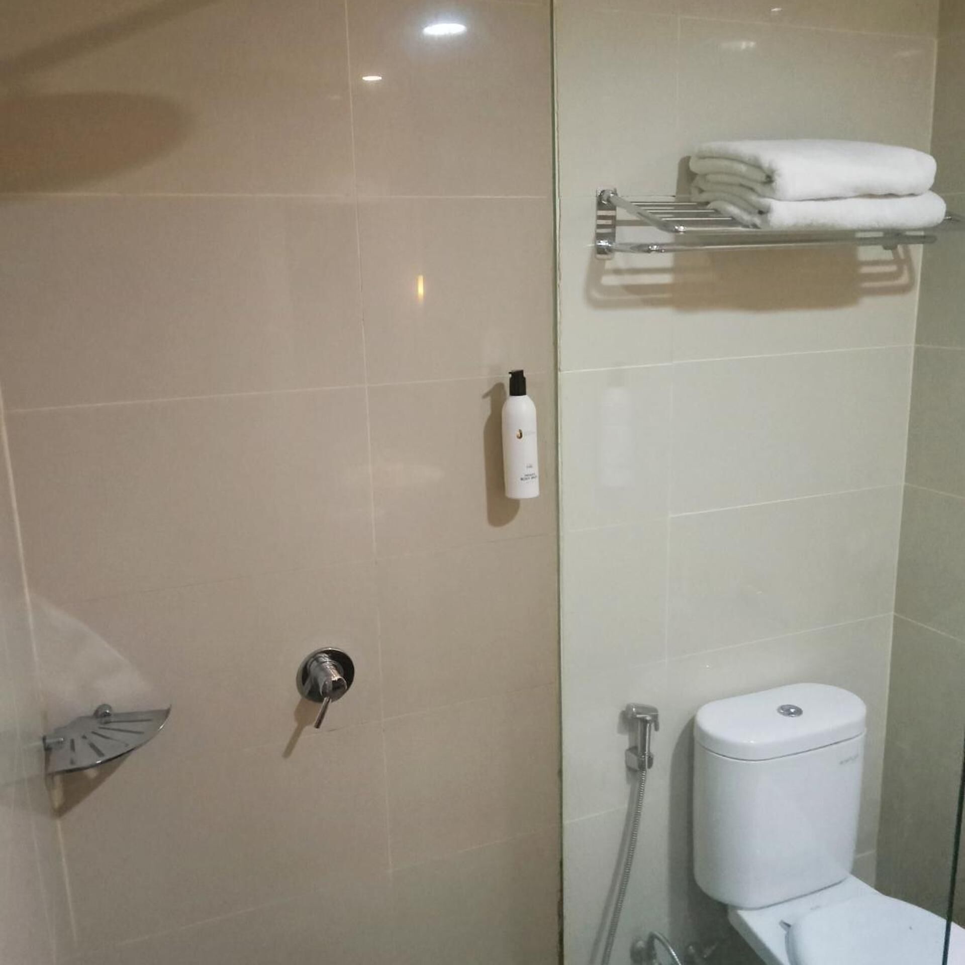 A modern bathroom with a glass shower enclosure, a toilet, and a towel rack.