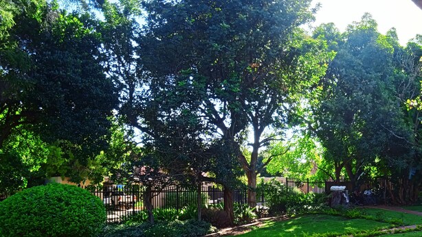 A well-maintained garden with a paved walkway, neatly trimmed grass, and a variety of trees.
