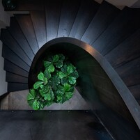 Una escalera de caracol con acabado oscuro y una jardinera circular con follaje verde en la base.