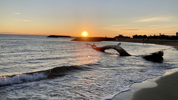 A beach scene with waves, a sun setting in the background, and a large piece of driftwood in the water. - SUPERB VILLA 80 m2 in DUPLEX, 6 pers, 3 bedrooms, 2 bathrooms + garage and garden (Agde)