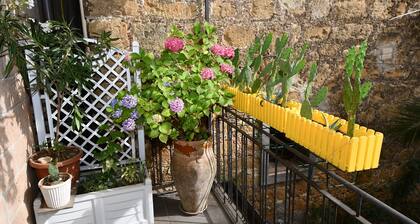 The Garden of the Saracen House - Orange, with terrace