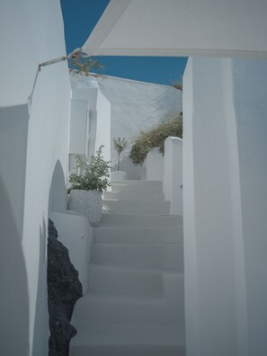 Una escalera blanca que lleva a un espacio cubierto con plantas en macetas y un cielo azul despejado.