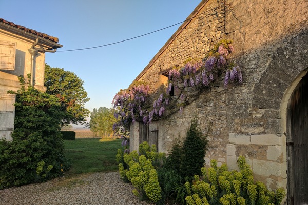 Detalle exterior