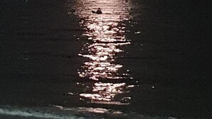 En nattscen med en klar måne som speglas i en vattenyta.