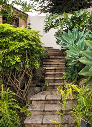 Property grounds - El Refugio Apartments & Villa - Delia - (La Matanza de Acentejo)