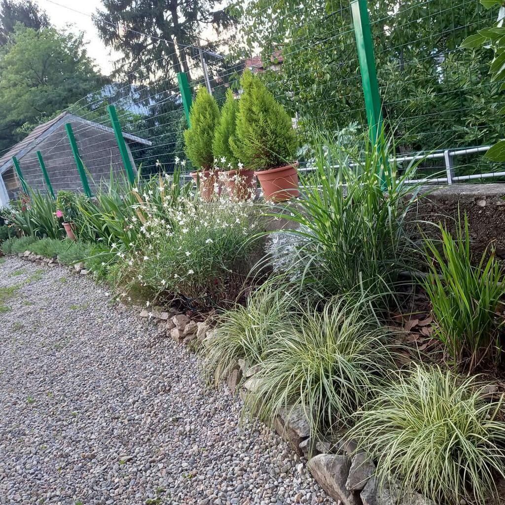 Ferienhaus | Unterkunftsgelände