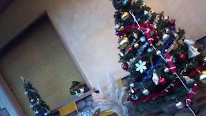 Un árbol de Navidad decorado con adornos y una estrella en la parte superior, situado en una habitación con alfombra verde y un pequeño árbol de Navidad blanco al fondo.