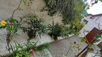 House | Property grounds