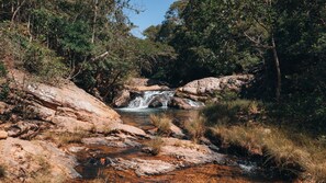 Paisaje natural con cascada, terreno rocoso y abundante vegetación.