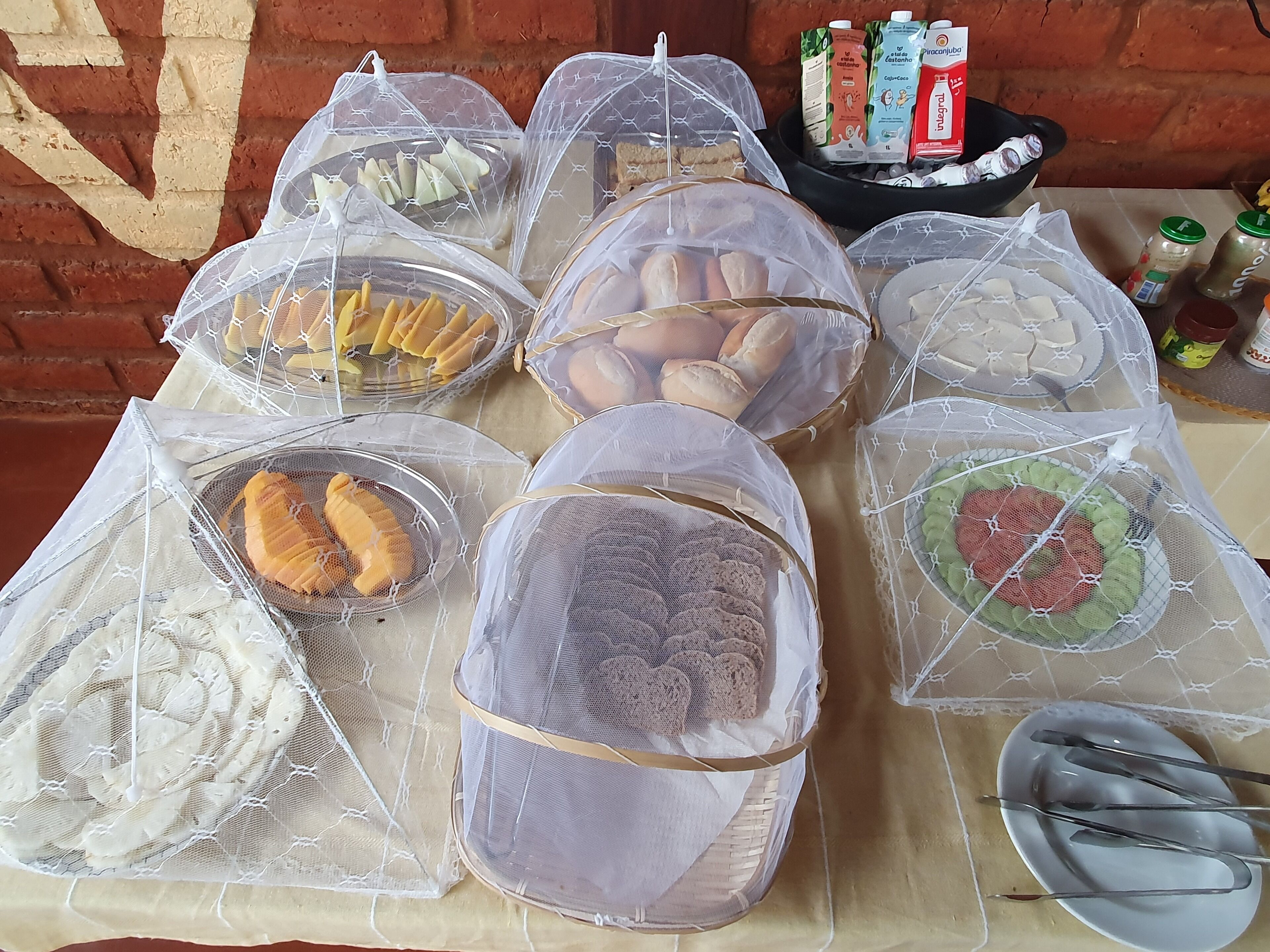 Uma mesa com diversos alimentos cobertos por uma rede protetora.