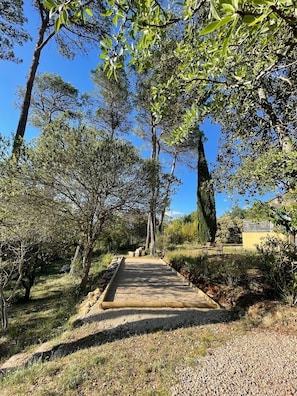 Terrein van de accommodatie