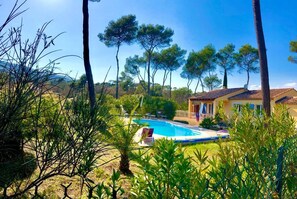 A house with a swimming pool surrounded by trees and greenery.