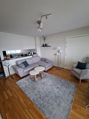 Fernseher