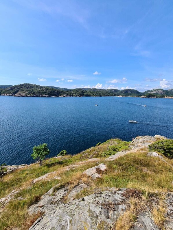 Un paysage côtier offrant une vue dégagée sur la mer, avec un terrain rocheux et des collines à l’horizon.
