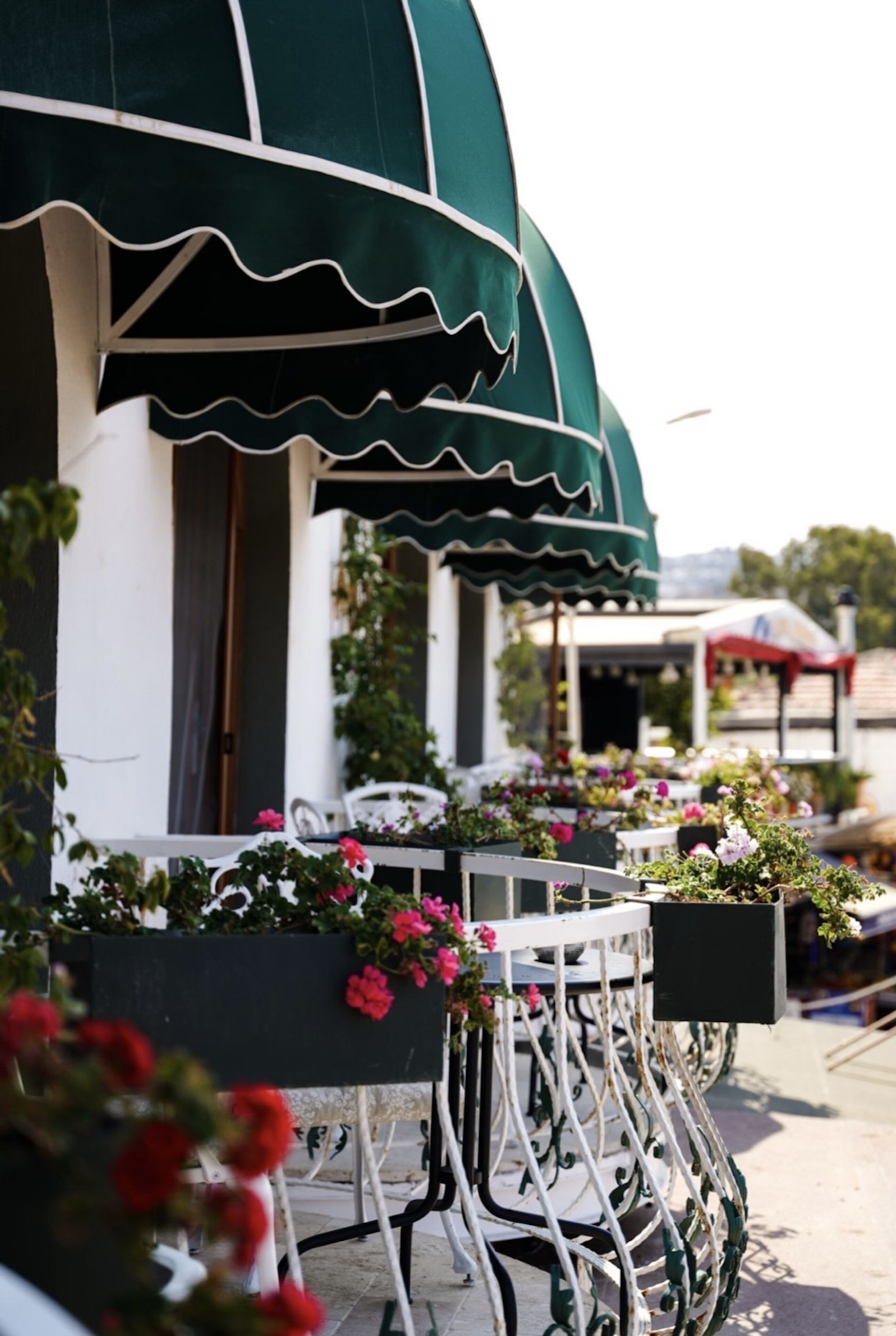 Habitación doble Deluxe, 1 cama Queen size, vista al mar, frente al océano | Balcón