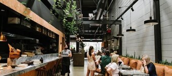 City Skyline Views|Bulimba Pool Home|Pet Friendly