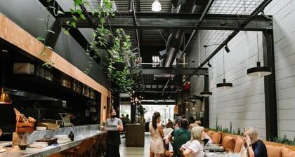 City Skyline Views|Bulimba Pool Home|Pet Friendly