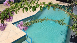 A swimming pool with a tiled edge and a plant with purple flowers. - Family Pool Home | River Fire City Skyline Views (Balmoral)