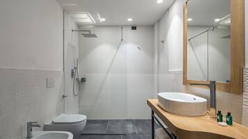 Shower, hair dryer, bidet, towels