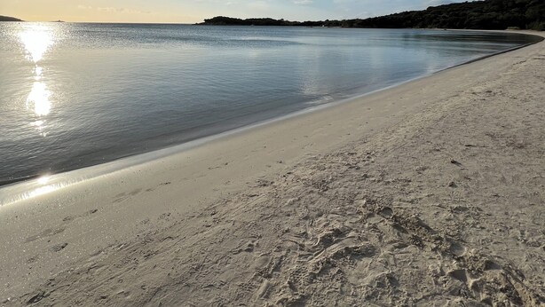 Ein Strand mit blauem Himmel, ruhigem Wasser und einer entfernten Küstenlinie.