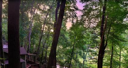 Secluded Creekside Cabin in Morganton near Linville Gorge - hot tub