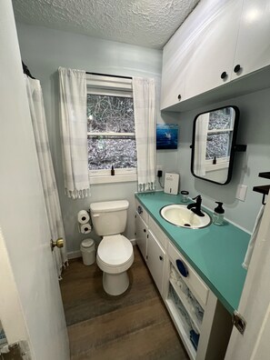 Combined shower/bathtub, eco-friendly toiletries, hair dryer, towels