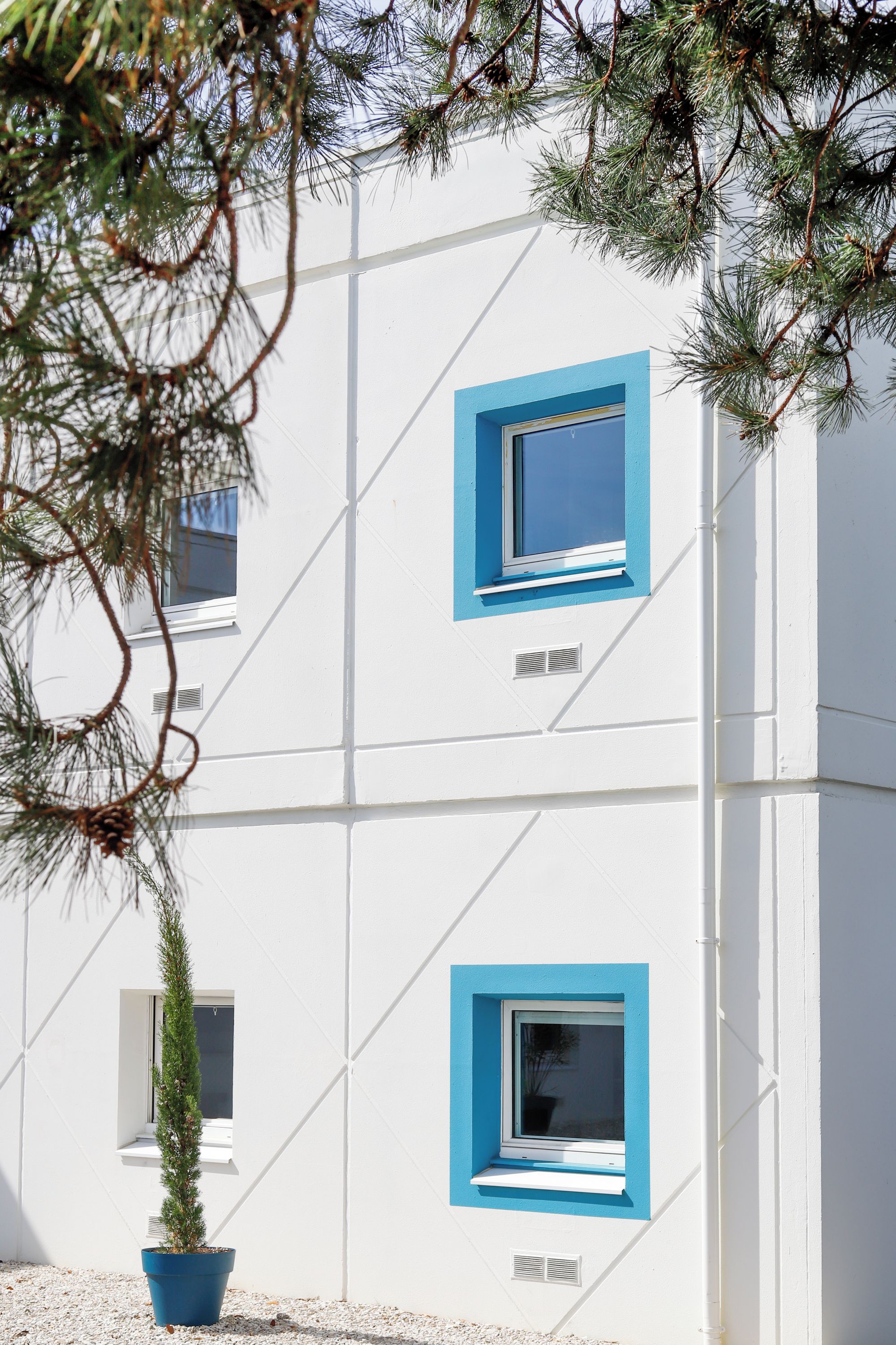 Un edificio moderno con dos ventanas, una con marco azul y otra con marco blanco, y una planta en maceta al frente.