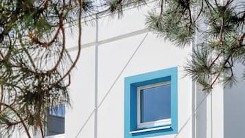 Un bâtiment moderne doté de deux fenêtres, l’une avec un cadre bleu et l’autre avec un cadre blanc, et un pot de fleurs placé devant.