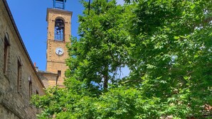 Un edificio histórico con una torre de reloj, fachada de piedra y un árbol en primer plano.