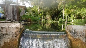 A small waterfall in a garden with lush greenery and a bamboo fence.